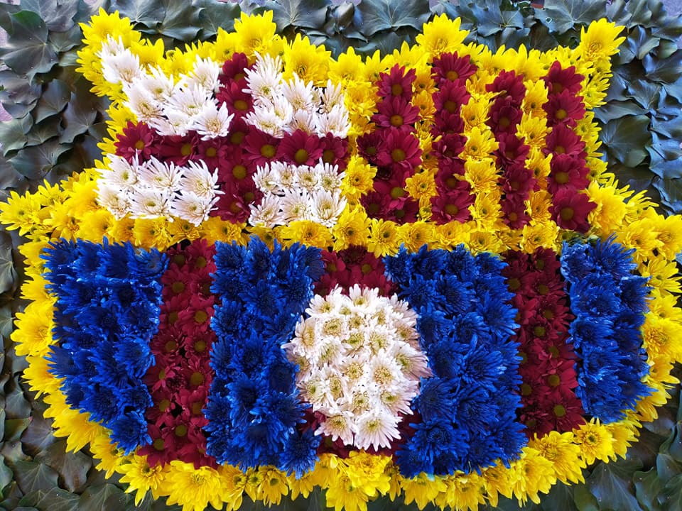 Sembrando Girasoles en Pontevedra