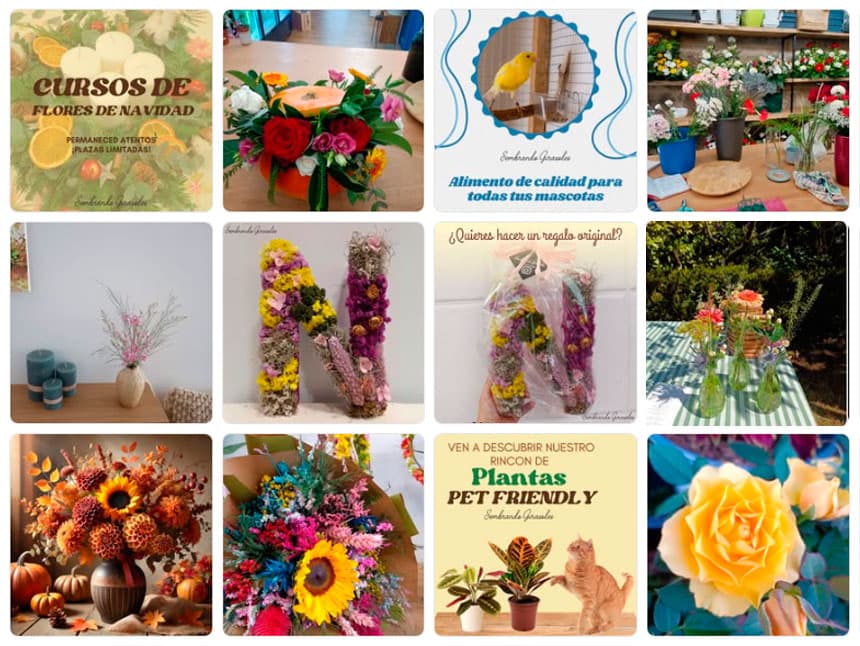 Redes sociales tienda de mascotas y floristería en Pontevedra