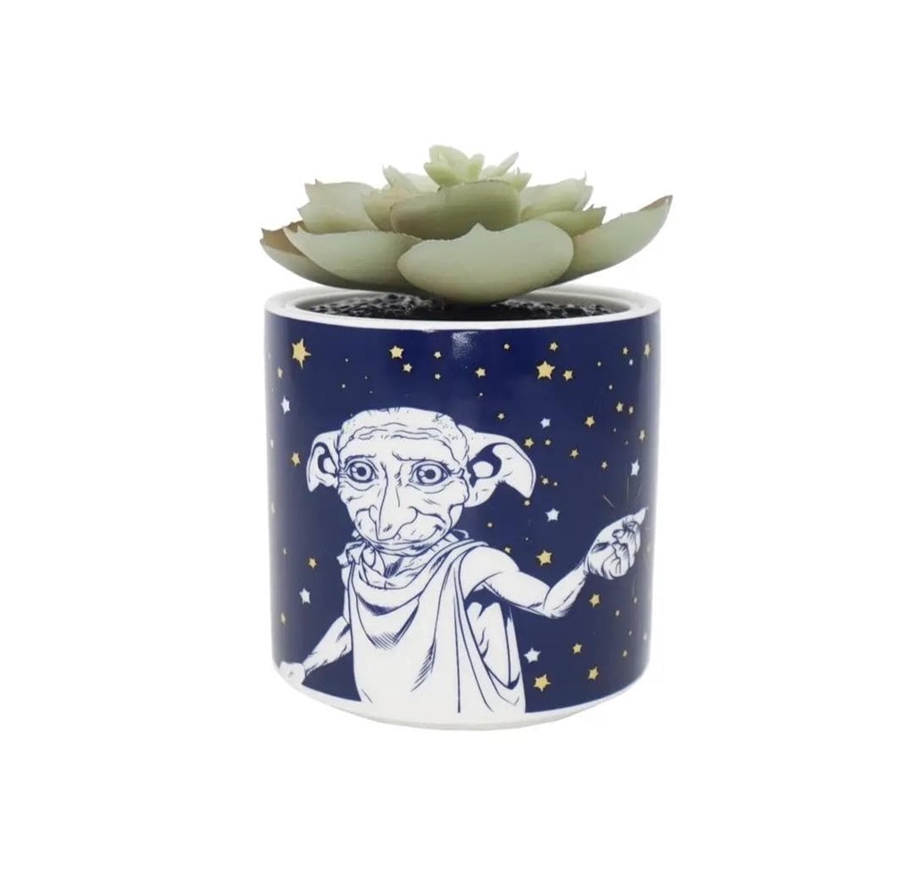 Foto 1 Maceta Dobby