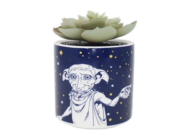 Maceta Dobby