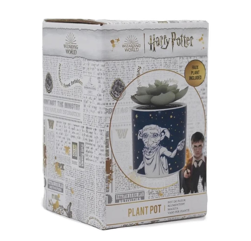 Foto 3 Maceta Dobby