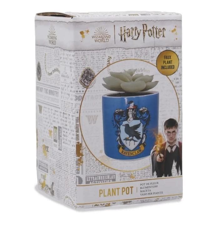 Foto 1 Maceta Ravenclaw