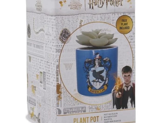 Maceta Ravenclaw
