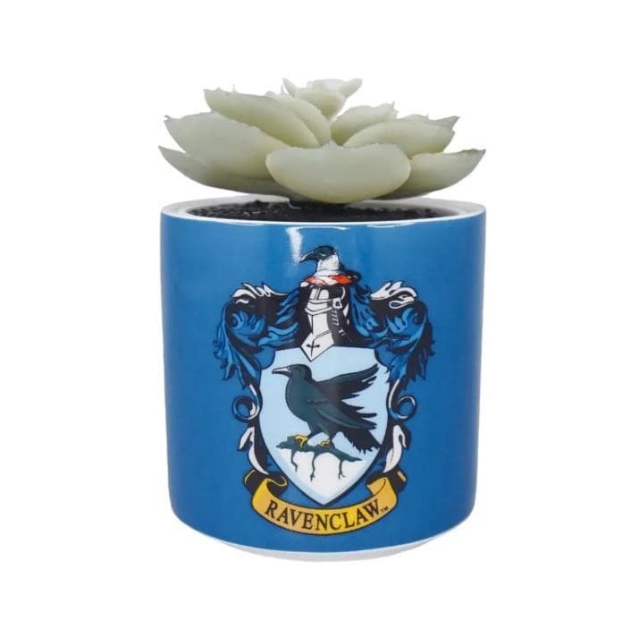 Foto 3 Maceta Ravenclaw