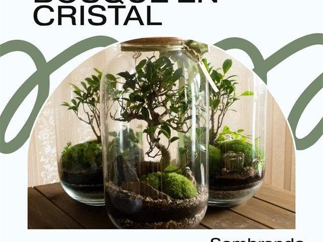 Taller creación de un bosque en cristal